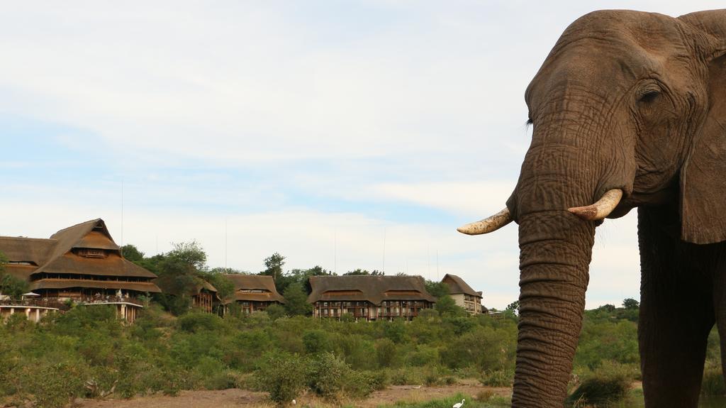 Victoria Falls Safari Suites Εξωτερικό φωτογραφία